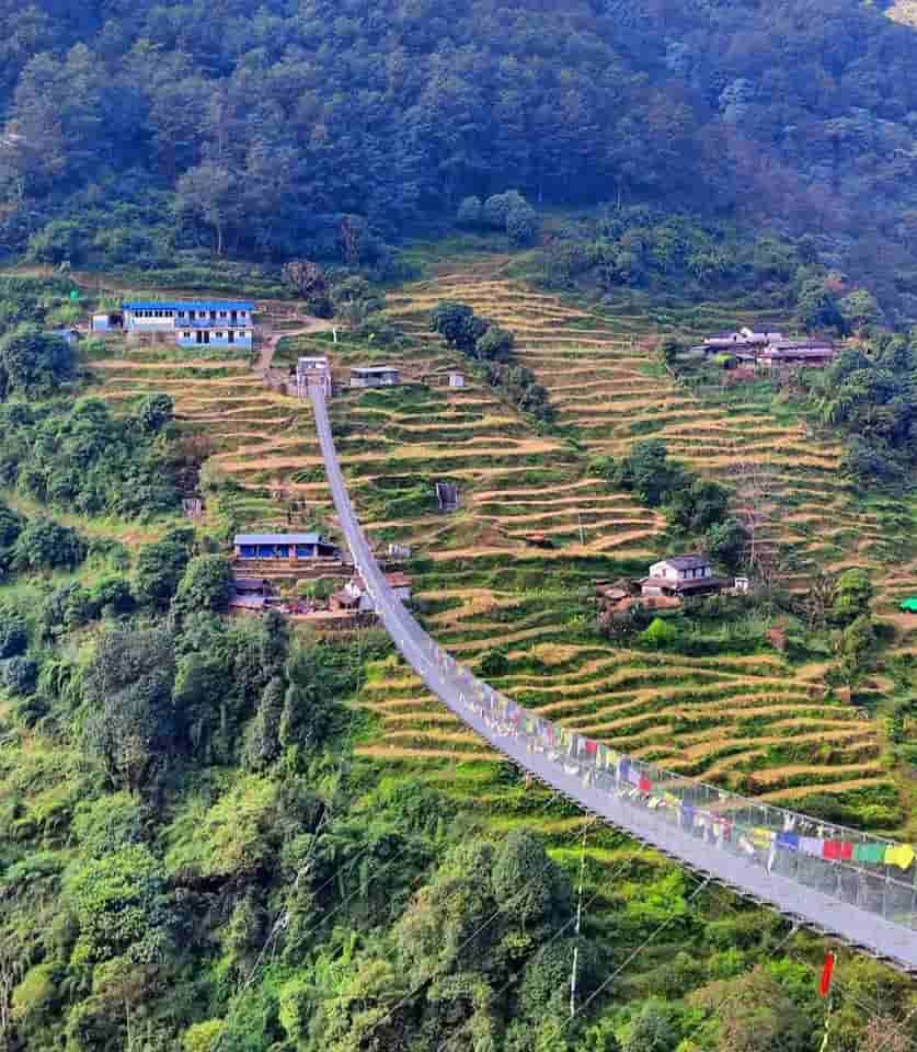Stunning Views of Jhinu Danda: Nature's Serenity in the Himalayas